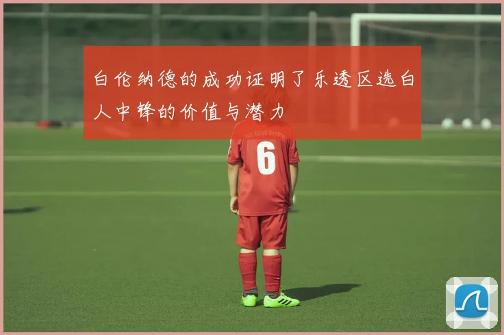 白伦纳德的成功证明了乐透区选白人中锋的价值与潜力